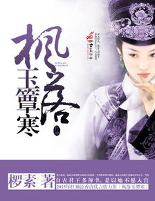 掠星征途