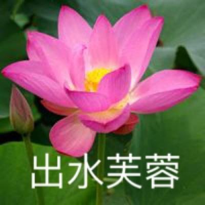叶长生萧灵卿
